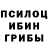 Псилоцибиновые грибы MAGIC MUSHROOMS BOGDAN_NAVI_999